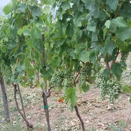 Luxury With Pool, Stunning Location 别墅 *