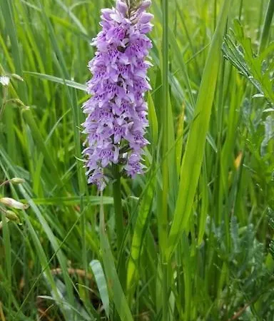 别墅 Luxury With Pool, Stunning Location