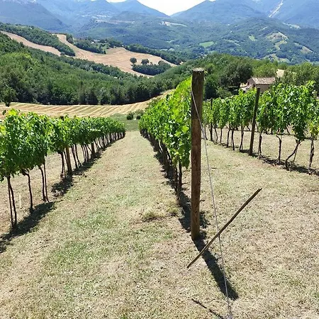 别墅 Luxury With Pool, Stunning Location